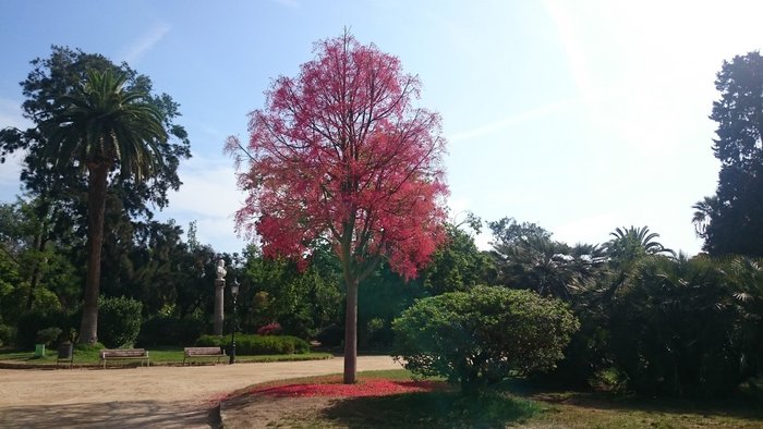 Imagen 2 de Parc de la Ciutadella