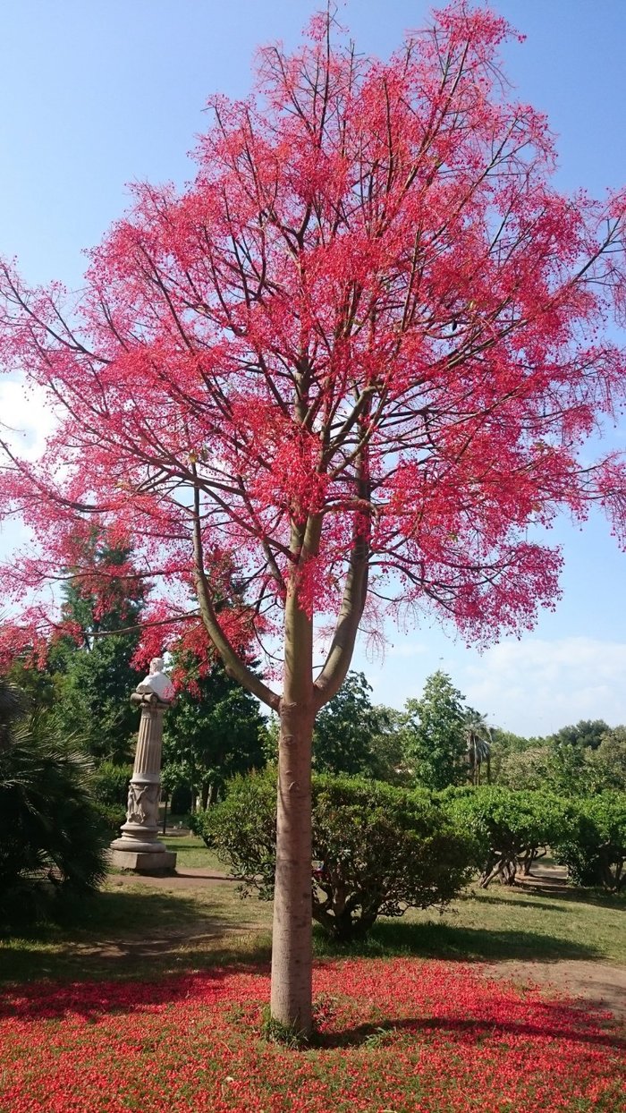 Imagen 8 de Parc de la Ciutadella