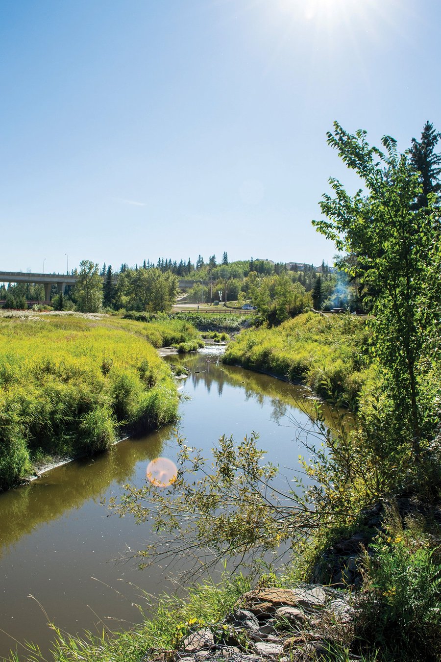 RAINBOW VALLEY CAMPGROUND Reviews & Photos (Edmonton, Canada