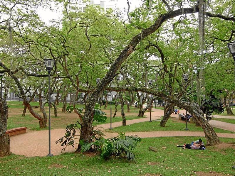 San Pio Park image