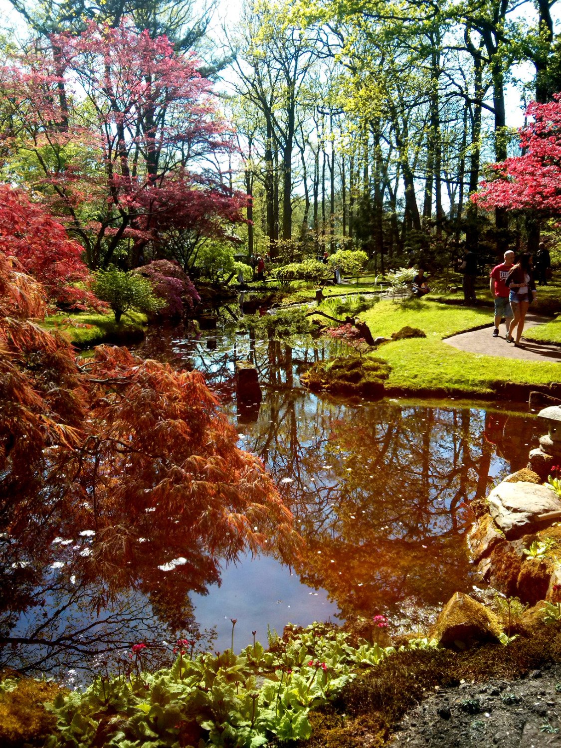 40317-Japanese-Garden-pkg.jpg?