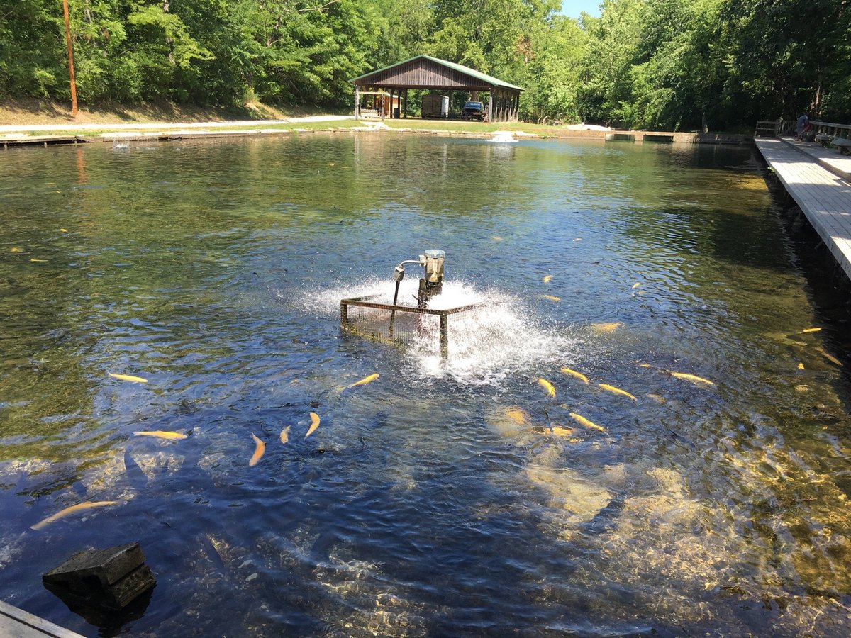 MOUNTAIN SPRINGS TROUT PARK (Highlandville) 2022 What to Know BEFORE You Go