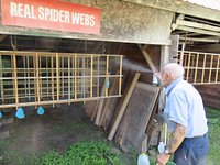 Order Your Unique Spider Web Plaques from Knight's Spider Web Farm