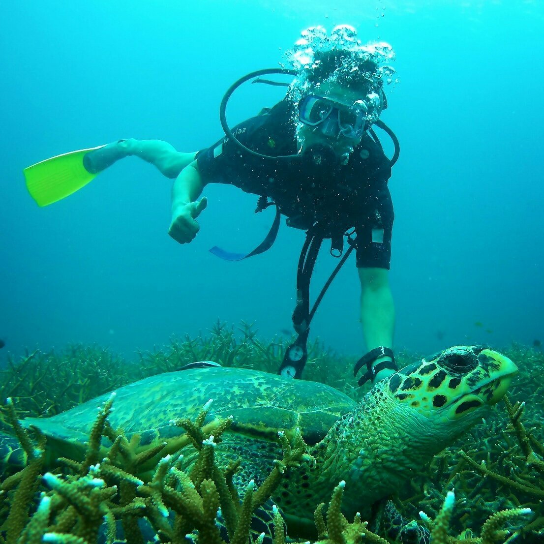 Abect Aqua Dive Centre (Pulau Tioman) - 2022 Alles Wat U Moet Weten ...