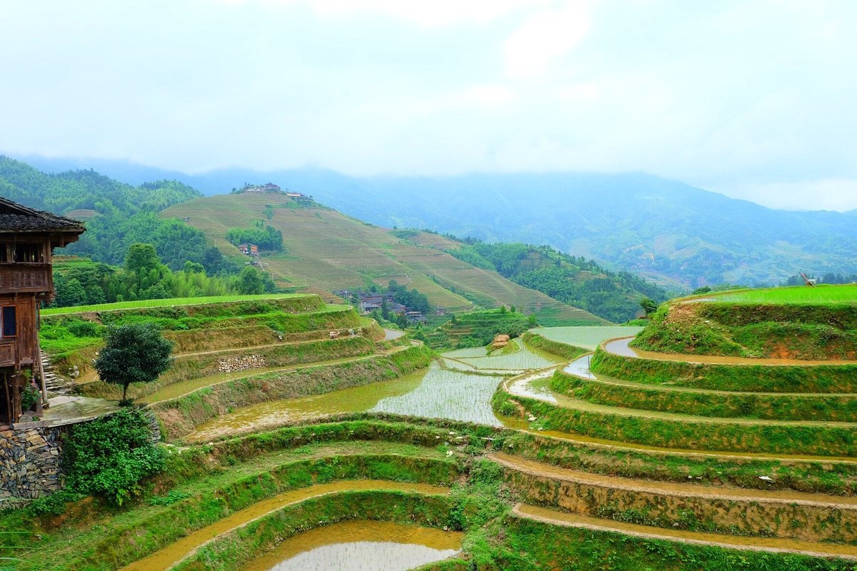 LONGJI MOUNTAIN (Longsheng County) - Qué SABER antes de ir