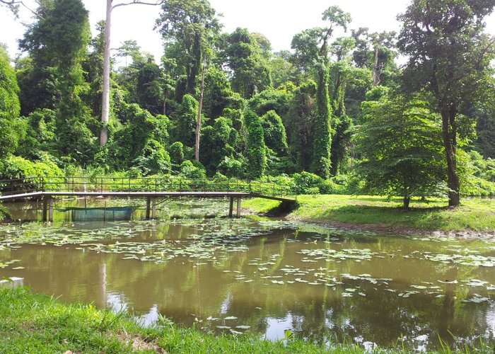 pond on the road to the headquarters