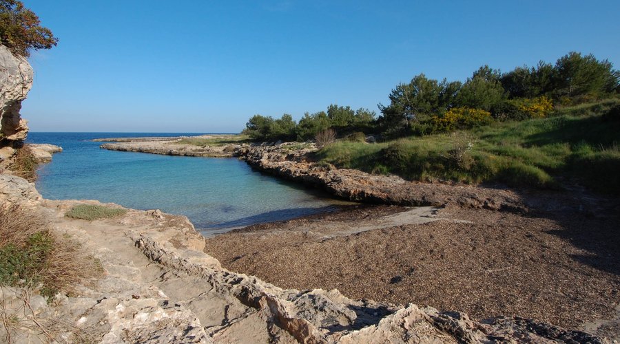 Cala speranza (o porto salvezza)