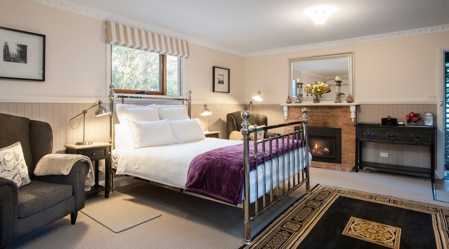 Camellia Cottage - Lounge/bedroom with gas log fire and air conditioning
