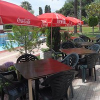 Bar and terrace provides fresh food and cooling drinks.