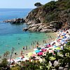 Things To Do in Acquario dell'Elba, Restaurants in Acquario dell'Elba