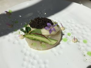 Cibo