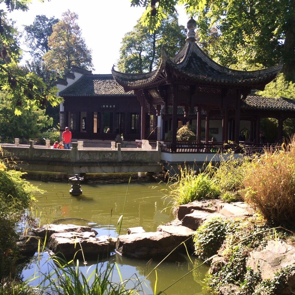 Chinesischer Garten (Frankfurt am Main) Lohnt es sich? Aktuell für