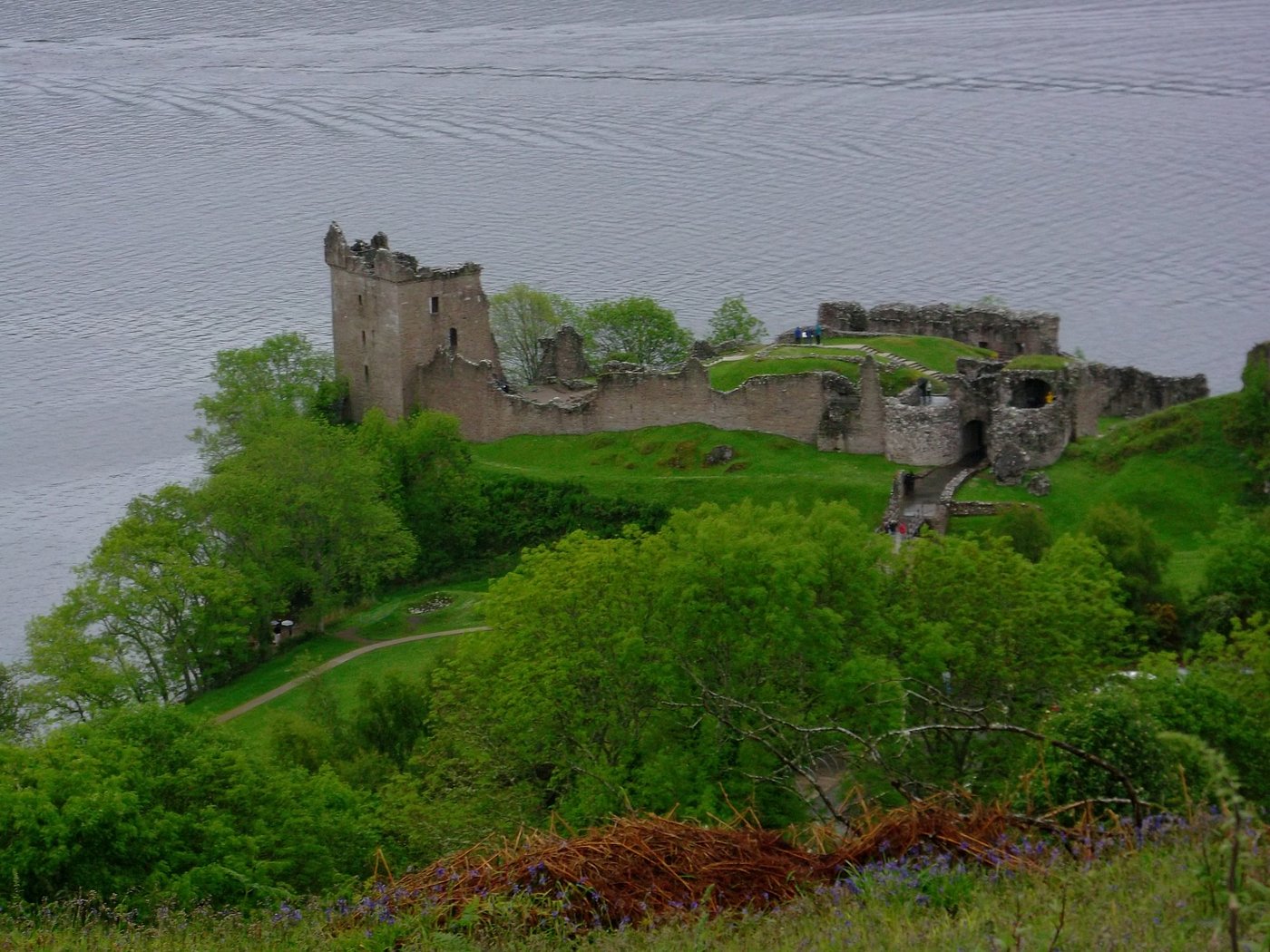 LOCH NESS BAY CAMPING (Drumnadrochit, Escocia) - Opiniones y ...