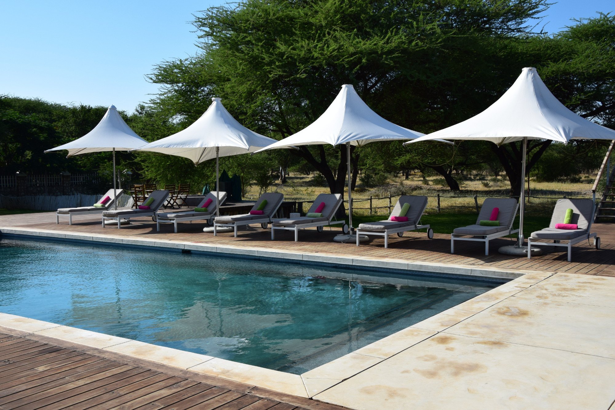 Emanya@Etosha Pool Pictures & Reviews - Tripadvisor