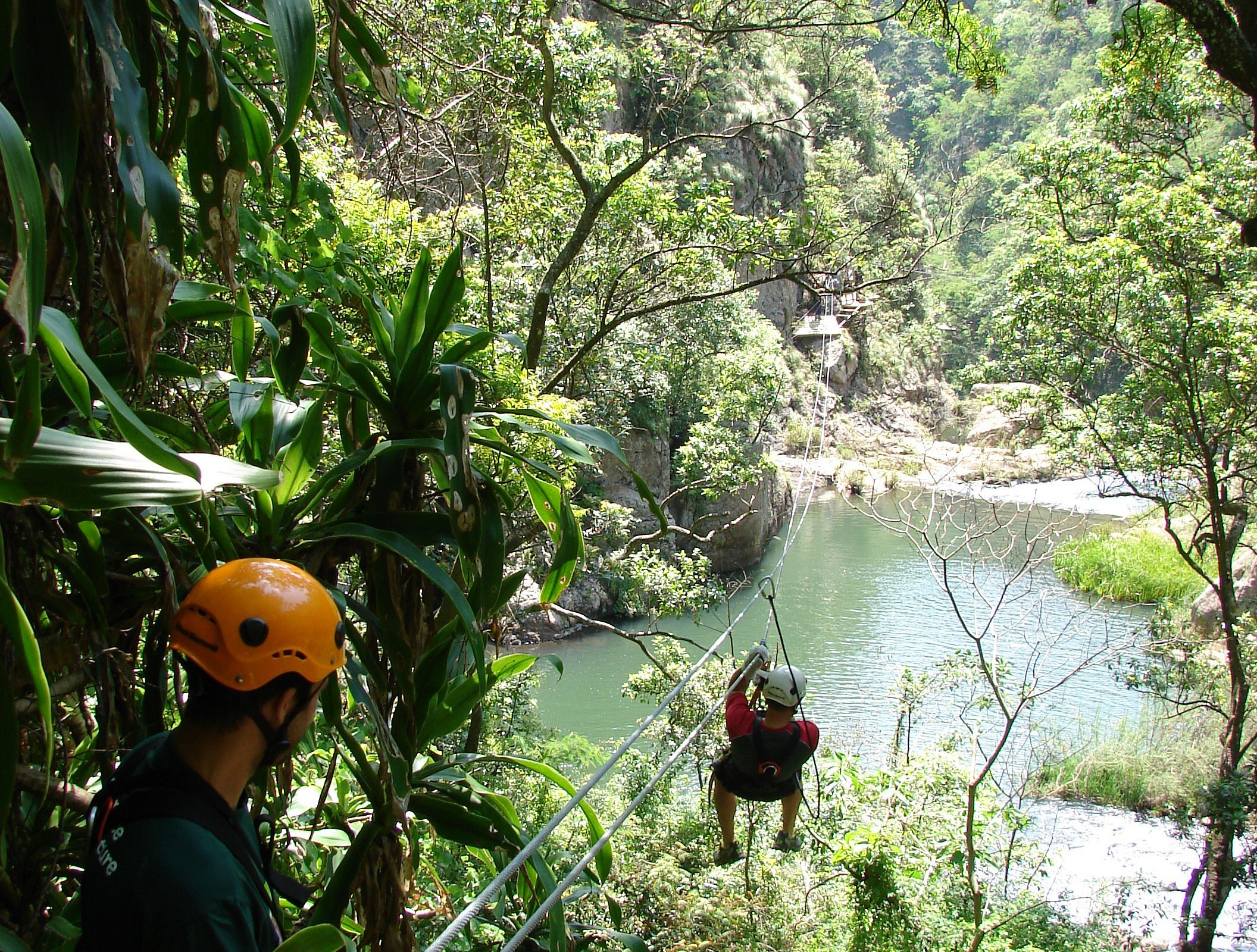 magoebaskloof canopy tours reviews