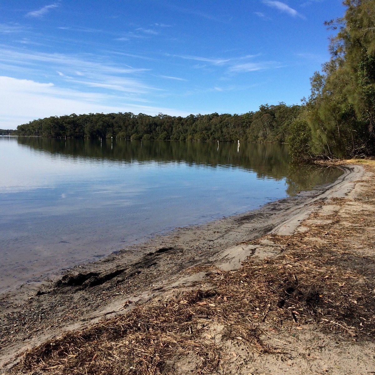 Queens Lake Walking Track (Laurieton) - All You Need to Know BEFORE You Go