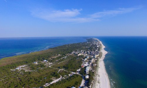 are dogs allowed on beach in port st joe fl