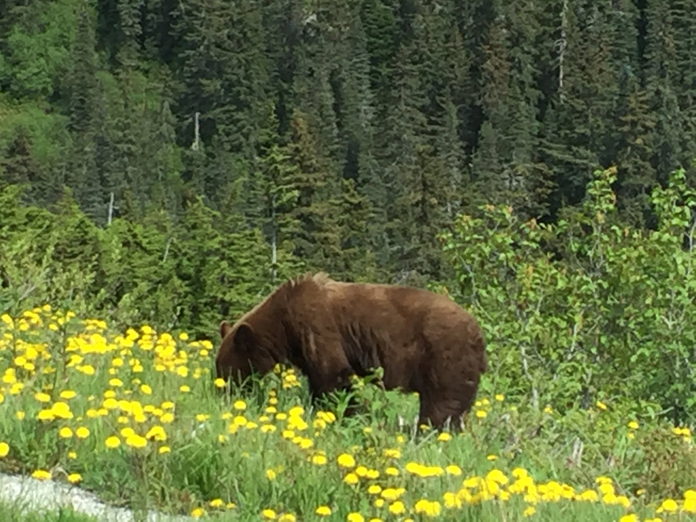 klondike-tours-skagway-all-you-need-to-know-before-you-go