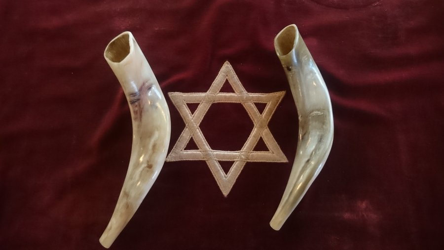 Smaller Rams Horns