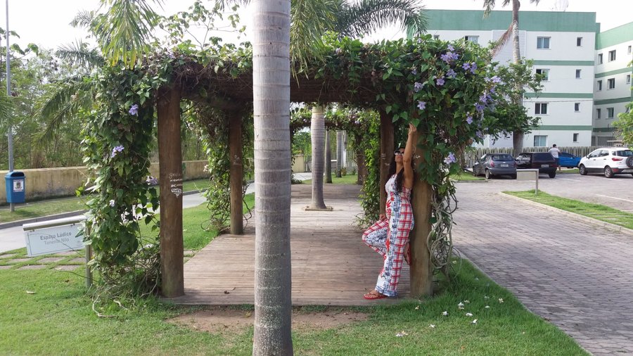 Jardim na Praça 22 agosto