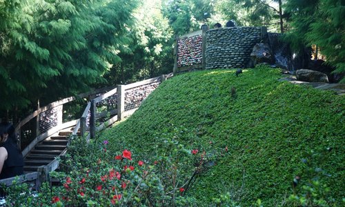 Wishing Well