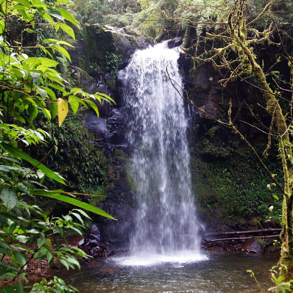 The Lost Waterfalls-Boquete - All You Need to Know BEFORE You Go (2024)