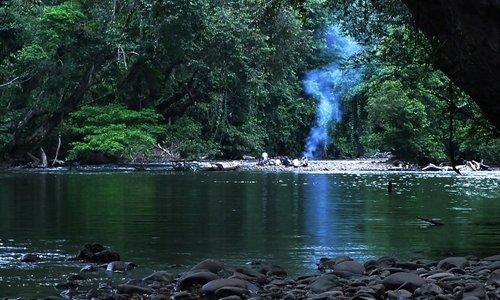 Jungle picnic experience in Sarawak