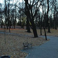 Park miejski Bytom, jesień 2015