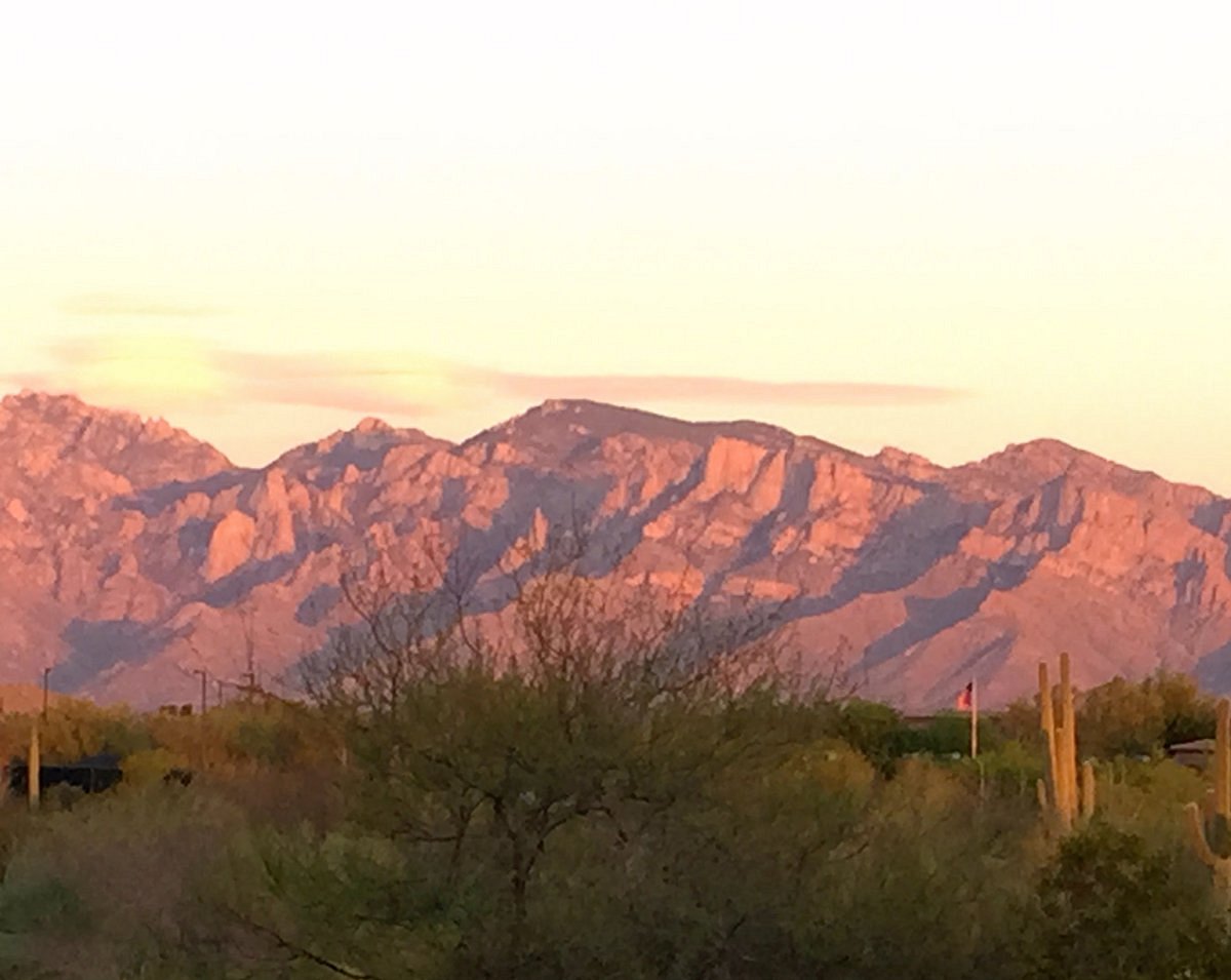 Dove mountain