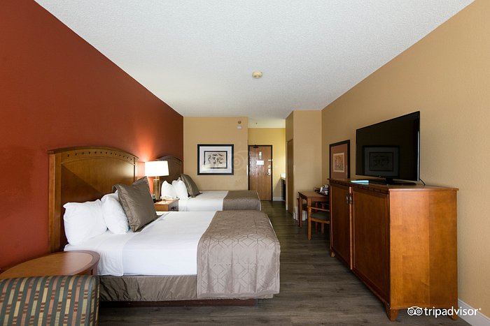 2 Queen Beds - Picture of Horseshoe Las Vegas - Tripadvisor
