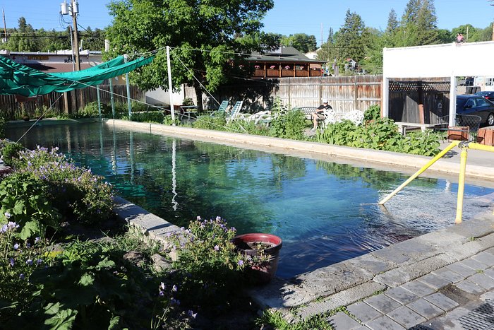 Lava Hot Springs Inn Pool Pictures And Reviews Tripadvisor 2400