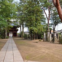 本堂から山門側、左に大銀杏