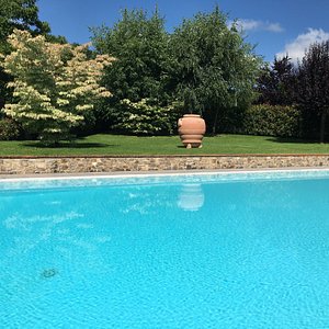 pool and garden