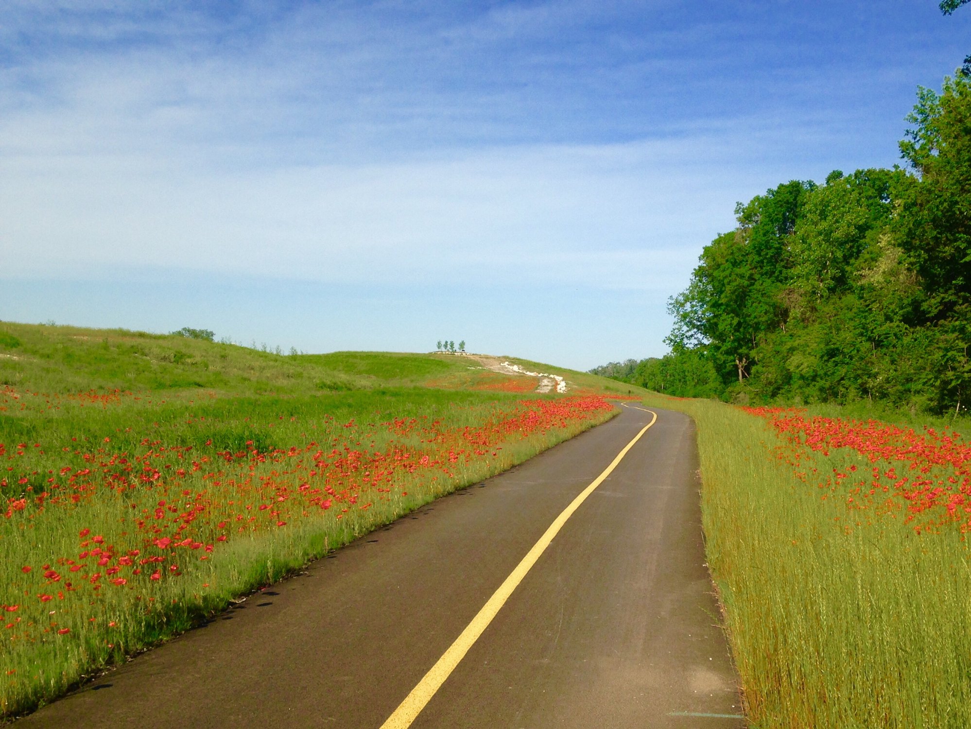 Centennial Bike Trail All You Need to Know BEFORE You Go 2024