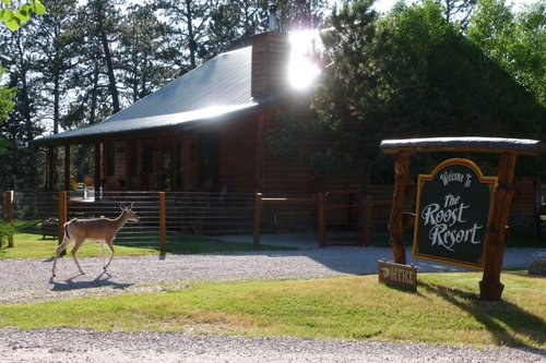 South Dakota's Hidden Gem: The Roost Resort – Your Unforgettable Campground Escape