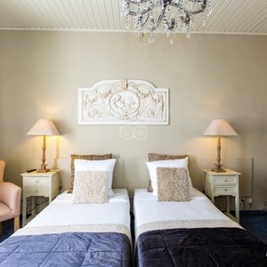 The Twin Room at the Botaniek  Hotel