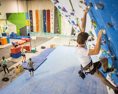 What Fun Things to Do in Brisbane