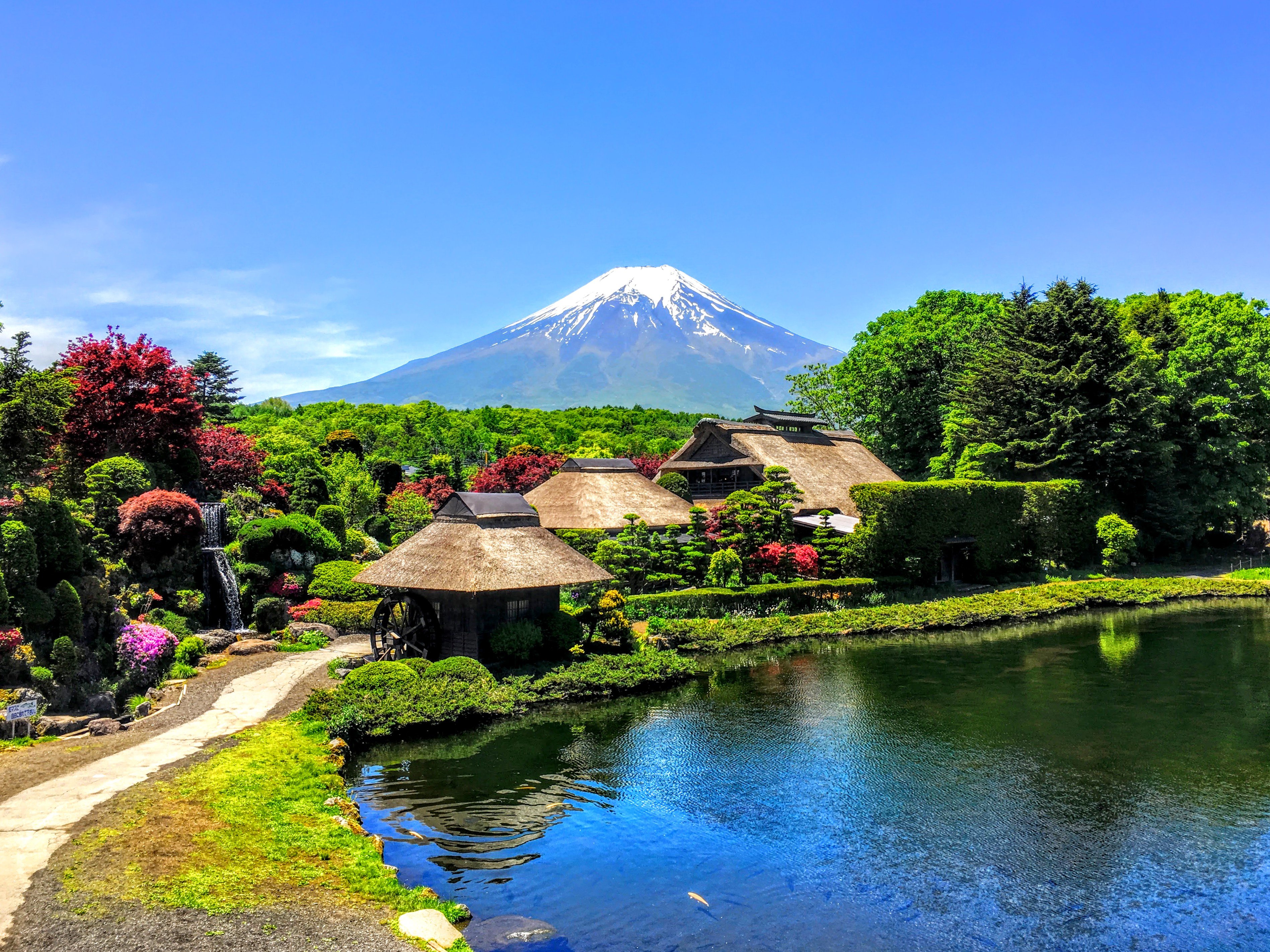 Japan Panoramic Tours 日本观光游(新宿区) - 旅游景点点评- Tripadvisor