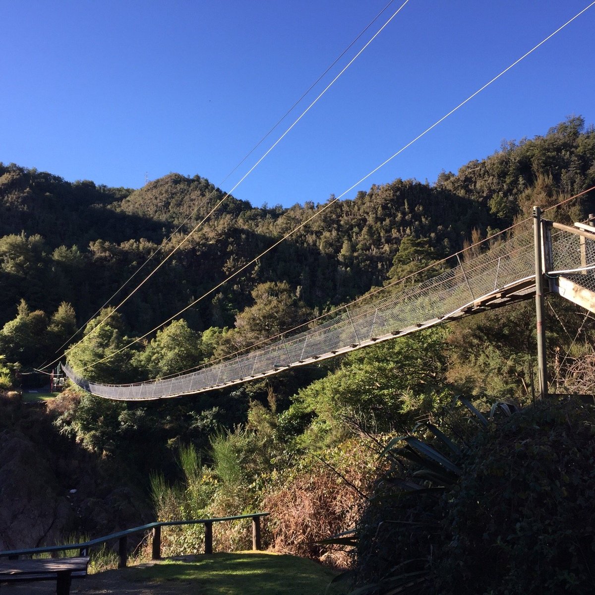 BULLER SWINGBRIDGE LTD (2025) All You Need to Know BEFORE You Go (with Photos)