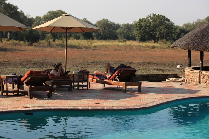 Mushroom Lodge Pool Pictures & Reviews - Tripadvisor