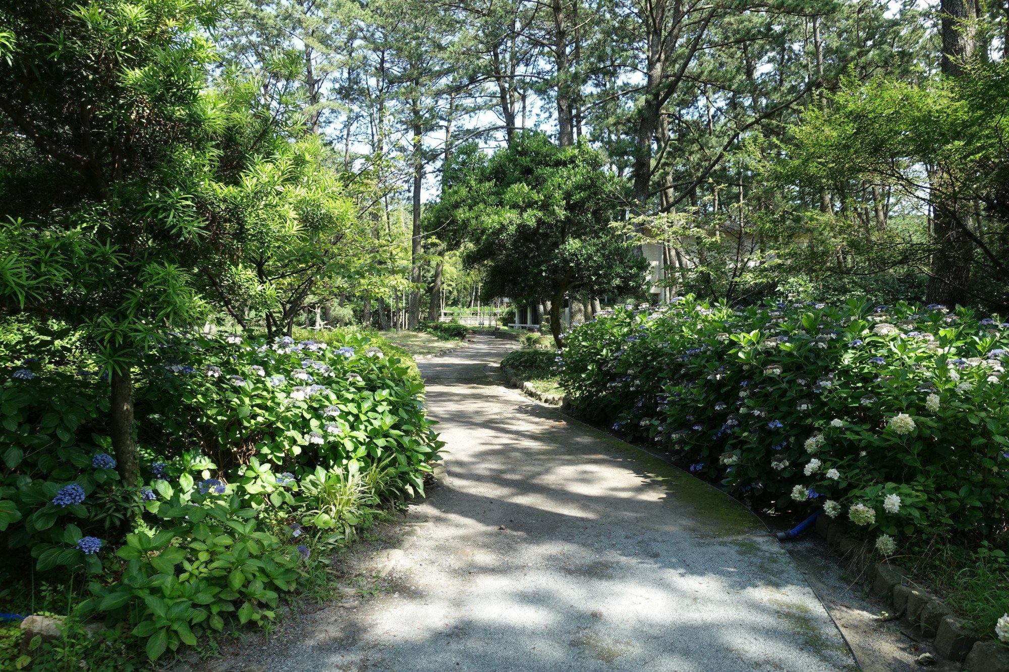 Numazu Imperial Villa Memorial Park - 2022 Alles Wat U Moet Weten ...