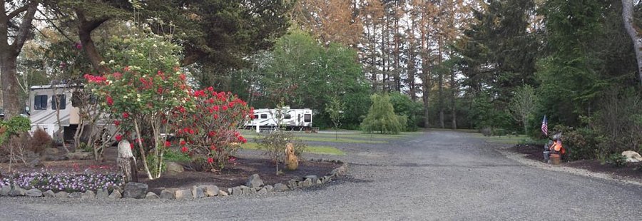 Driftwood Rv Updated 2020 Campground Reviews Washington Copalis Beach Tripadvisor