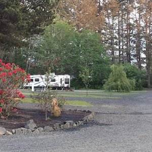 THE BEST Copalis Beach Pet Friendly Campgrounds of 2023 (with Prices ...