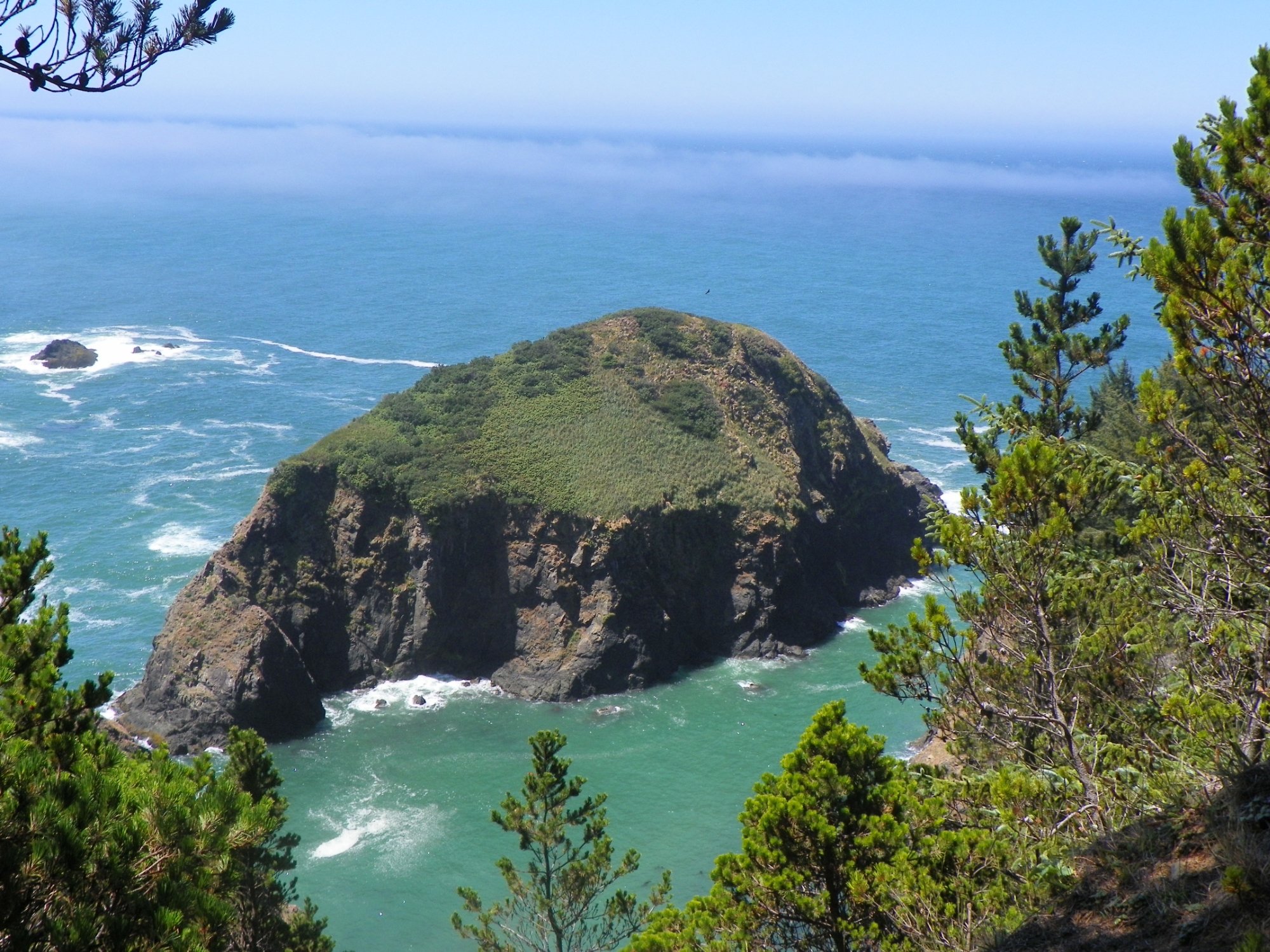 Samuel H. Boardman State Scenic Corridor (Brookings) - 2022 Alles Wat U ...