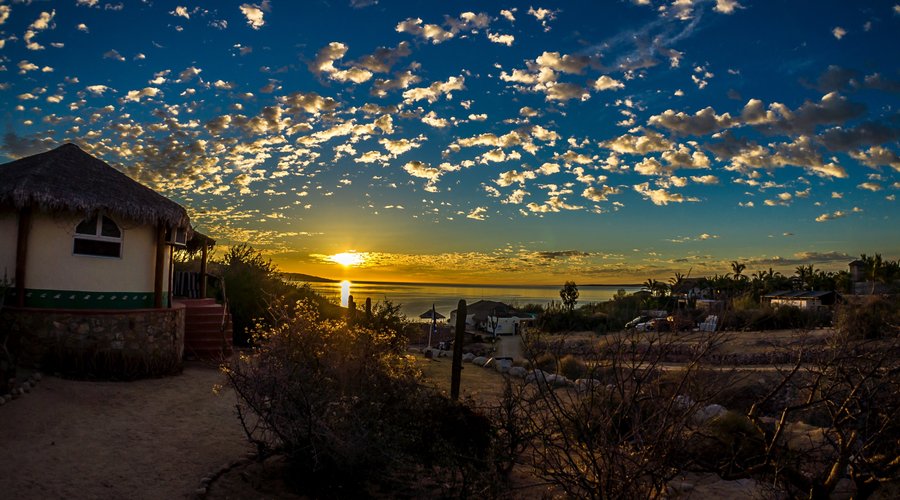 Palapas Ventana "The Best of Baja"