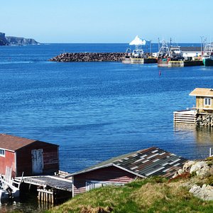 View of Twillingate harbour from the hill in front of the B&B