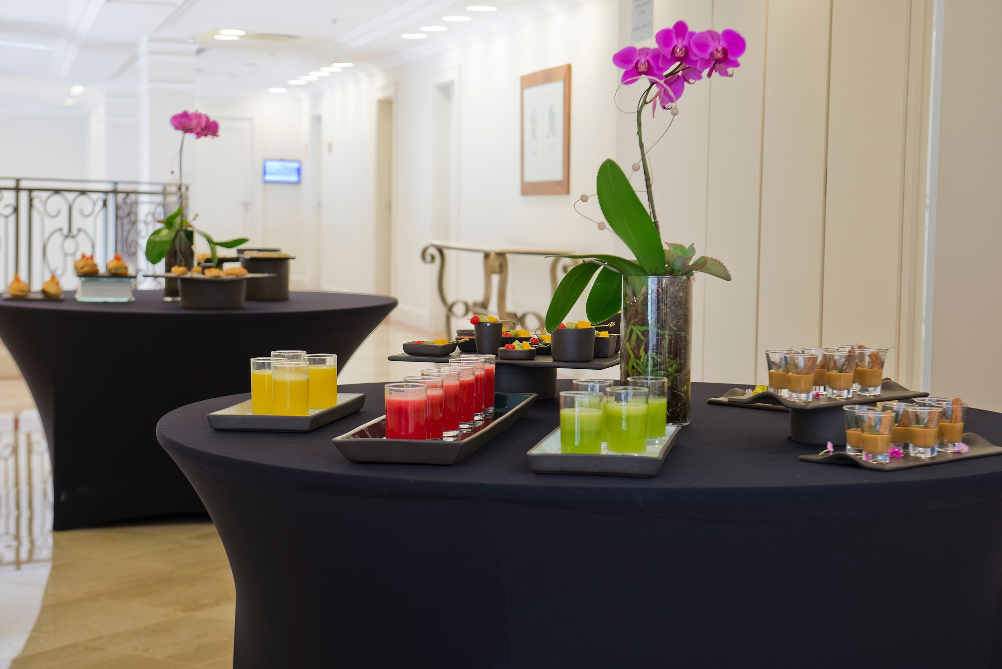 Hotel photo 48 of Melia Campinas.