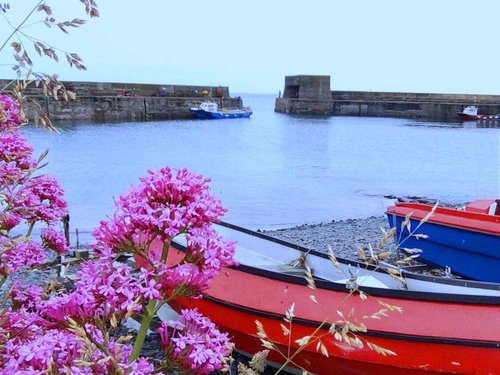 THE BEST Things to Do in Craster (2025) - Must-See Attractions