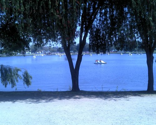 Capivaras passeando pelo Parque do Carmo, zona leste de São Paulo