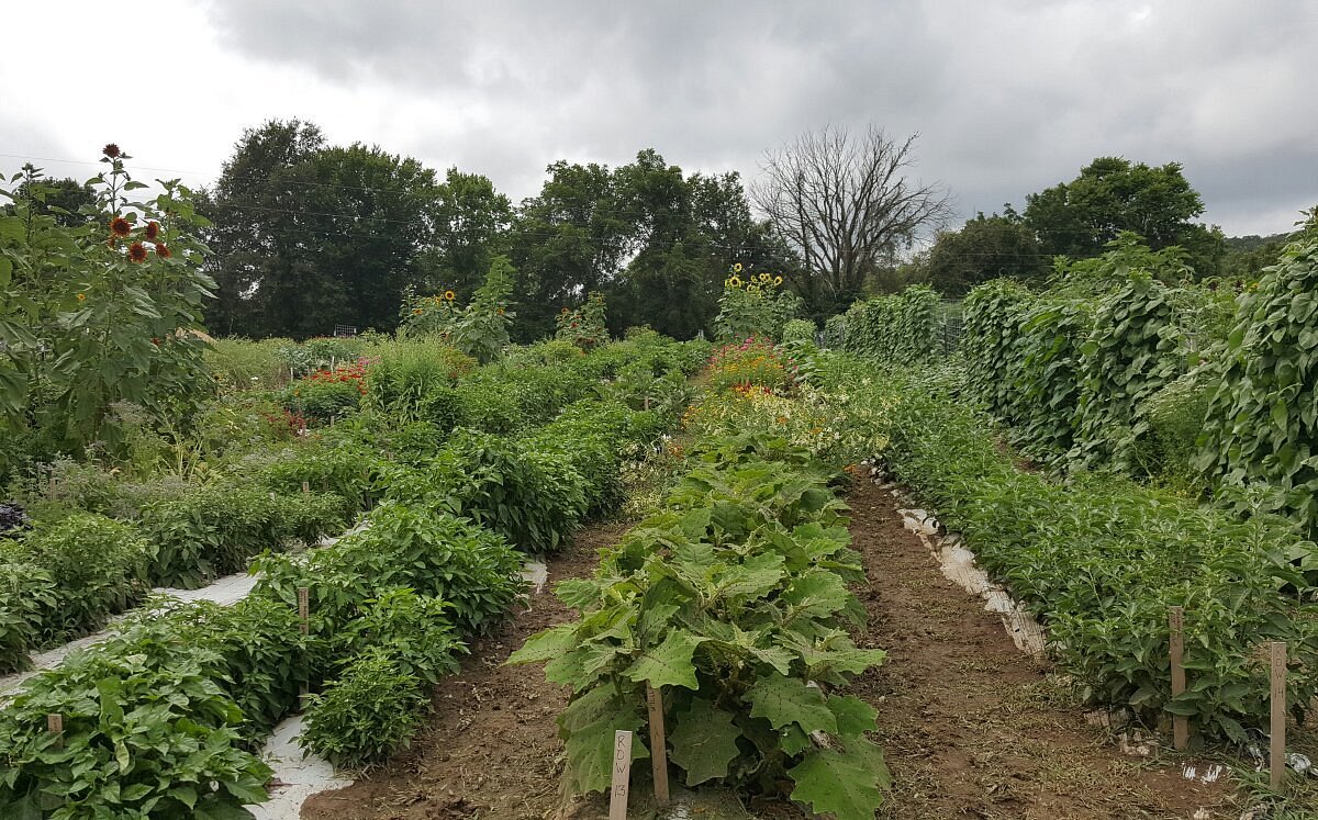Baker Creek Heirloom Seed Company (Mansfield) All You Need to Know